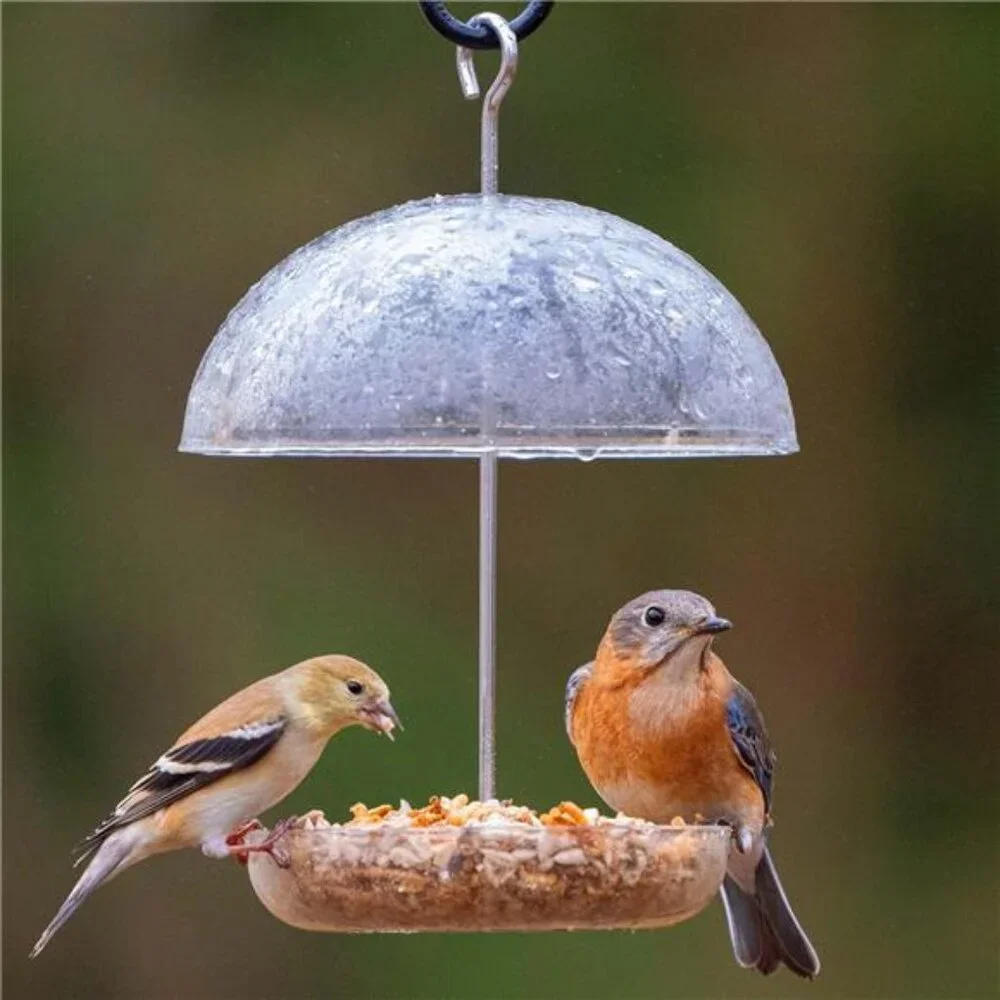 Dome Bird Feeder for Bluebird and Chickadees,Perfect for Mealworm Bird Feeder
